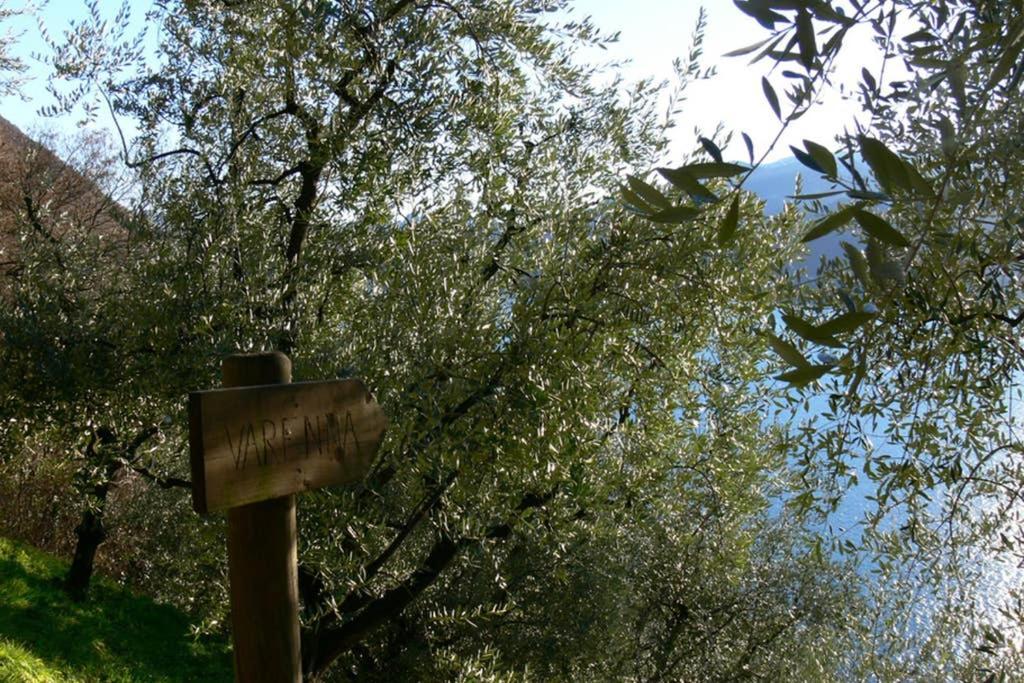 Luci Sul Lago - A Real Paradise Perledo Екстер'єр фото