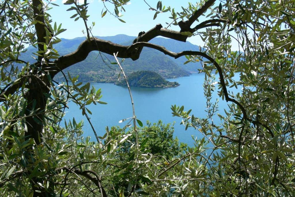 Luci Sul Lago - A Real Paradise Perledo Екстер'єр фото